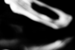 billydouglasphoto_sixfoot_web20201-2953