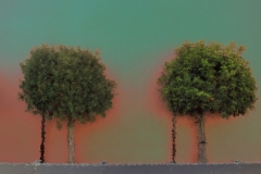 billydouglasphoto_sixfoot_web202016-038