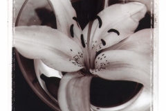 billydouglasphoto_sixfoot_web202020-040