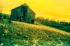 billydouglasphoto_sixfoot_web202027-001