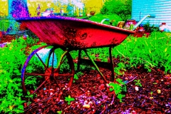 billydouglasphoto_sixfoot_web202030-005