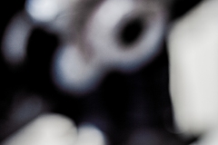 billydouglasphoto_sixfoot_web202032-7608