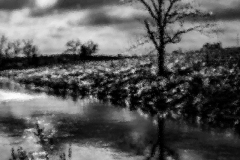 billydouglasphoto_sixfoot_web202040-1