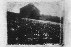 billydouglasphoto_sixfoot_web20205-