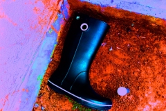 billydouglasphoto_sixfoot_web20206-033