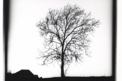 billydouglasphoto_sixfoot_web20207-028