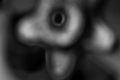 billydouglasphoto_sixfoot_web20208-2532