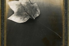 billydouglasphoto_sixfoot_web20209-029